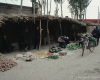 m41-china-22-005