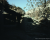 m41-china-22-022