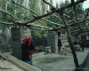 m41-china-22-032