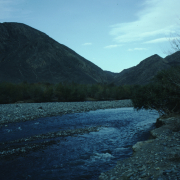 m41-china-18-002 m41-china-18-002