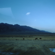 m41-china-18-011 m41-china-18-011