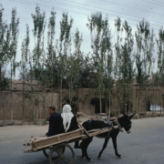 m41-china-22-004 m41-china-22-004