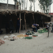 m41-china-22-005 m41-china-22-005