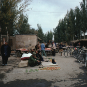 m41-china-22-043 m41-china-22-043