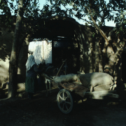 m41-china-22-044 m41-china-22-044