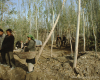 m41-china-23-006