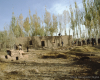 m41-china-23-011