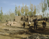 m41-china-23-013