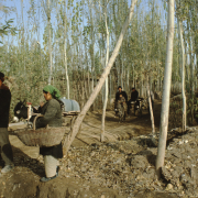 m41-china-23-006 m41-china-23-006