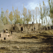 m41-china-23-011 m41-china-23-011