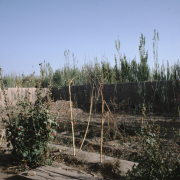 m41-china-23-034 m41-china-23-034