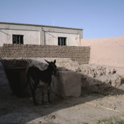 m41-china-23-041 m41-china-23-041