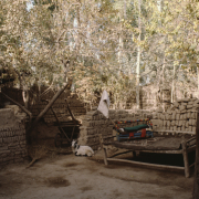 m41-china-23-048 m41-china-23-048