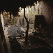 m41-china-23-049 m41-china-23-049