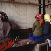 m41-china-24-009 m41-china-24-009