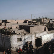 m41-china-24-020 m41-china-24-020