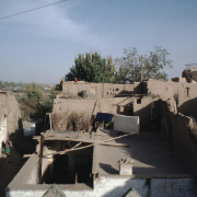 m41-china-24-022 m41-china-24-022