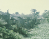m45-bangladesh-01-014