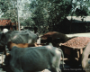 m45-bangladesh-01-033