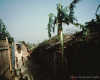 m45-bangladesh-02-006