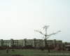 m45-bangladesh-02-010