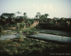 m45-bangladesh-02-026