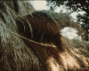 m45-bangladesh-02-029