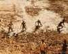 m45-bangladesh-02-031