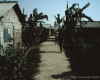 m45-bangladesh-03-006