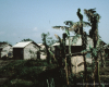 m45-bangladesh-03-007