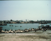 m45-bangladesh-03-039