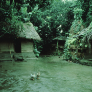m45-bangladesh-01-029