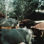 m45-bangladesh-01-033