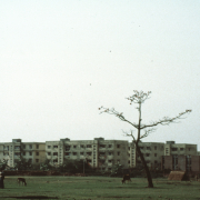 m45-bangladesh-02-010