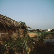 m45-bangladesh-02-016