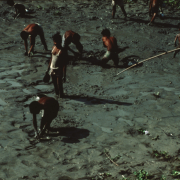 m45-bangladesh-03-012