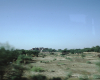 m45-india-agra-07-003