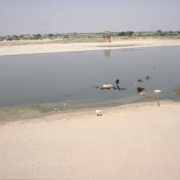 m45-india-agra-07-027