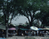 m45-thailand-02-009