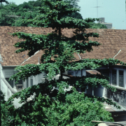 m45-singapore-03-005