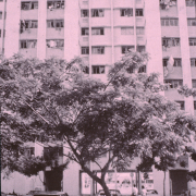 m45-singapore-05-005