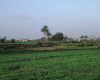 m01-egypt-cairo-68-037