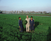 m01-egypt-cairo-68-038