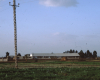 m01-egypt-cairo-68-040