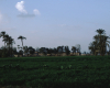 m01-egypt-cairo-68-042