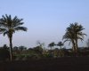 m01-egypt-cairo-68-052