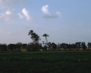 m01-egypt-cairo-68-054