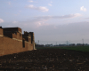 m01-egypt-cairo-68-055