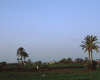 m01-egypt-cairo-68-058