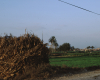 m01-egypt-cairo-68-059